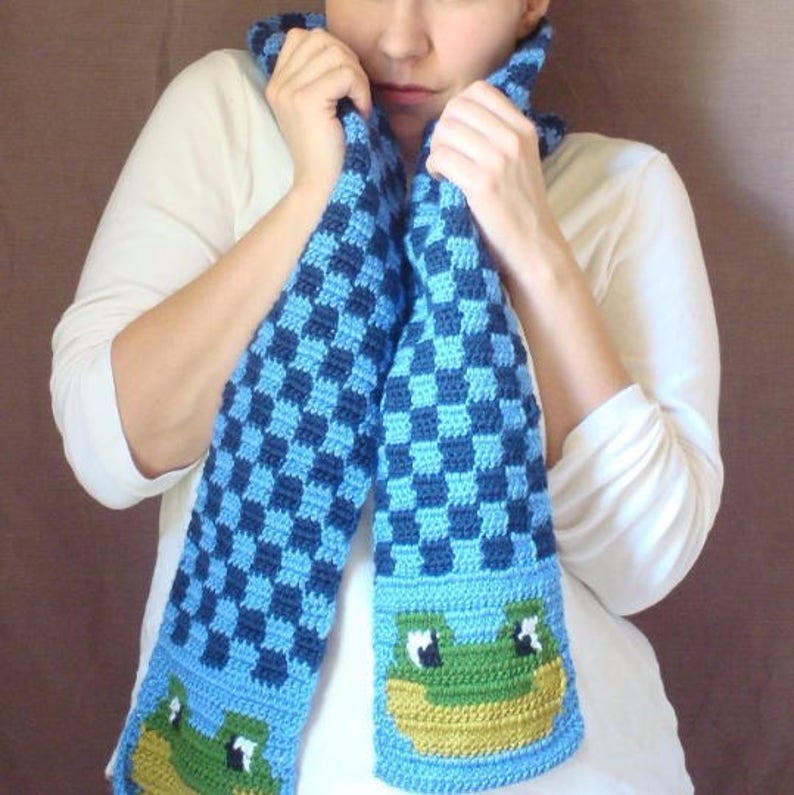 Frog Potholder PDF Crochet Pattern Graph and Written | Etsy