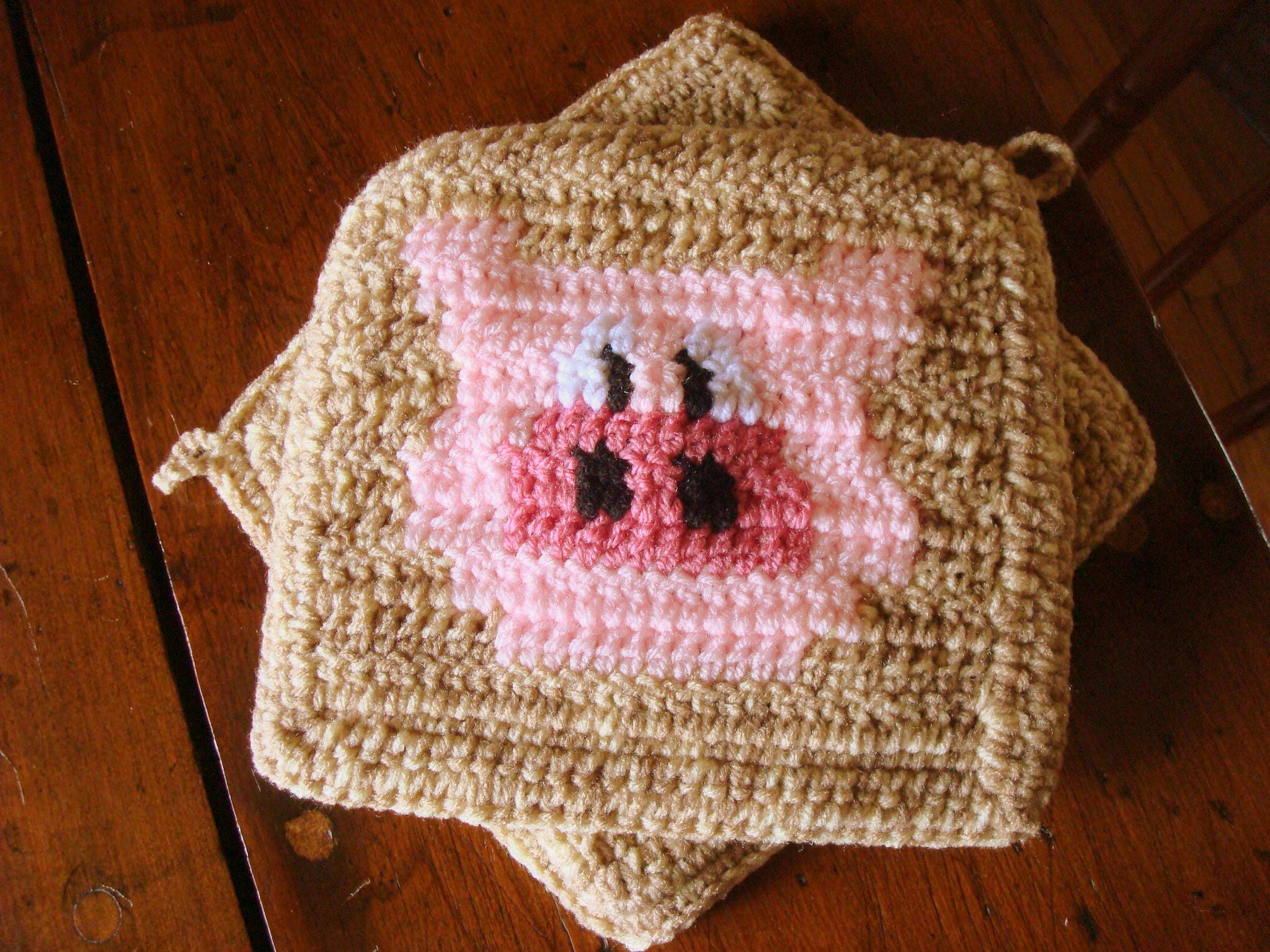 PIG Potholder PDF Crochet Pattern Graph and Written Etsy Australia