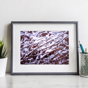 Winter Wonderland, Winter Landscape Print, Living Room Wall Decor, Winter Photography Print, Home Wall Decor