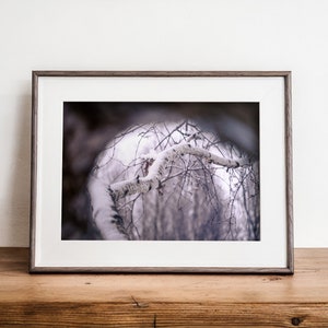Winter Landscape Print, Living Room Wall Decor, Winter Photography Print, Home Wall Decor, Winter Wonderland