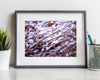 Winter Wonderland, Winter Landscape Print, Living Room Wall Decor, Winter Photography Print, Home Wall Decor