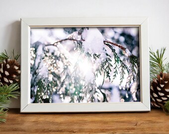 リビングルームの壁飾り、冬の写真プリント、家の壁飾り、冬のワンダーランド、冬の風景プリント