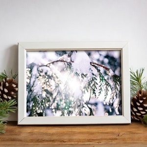 Living Room Wall Decor, Winter Photography Print, Home Wall Decor, Winter Wonderland, Winter Landscape Print