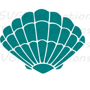 Könnte beinhalten: Türkise Muschel mit einem detaillierten, gewellten Design. Die Muschel ist eine einfache, symmetrische Form.