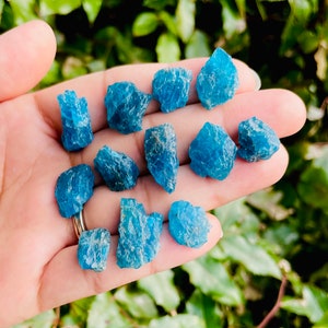 Gemmy Apatite Crystal (1) XS Apatite Stone Neon Deep Blue Rare Crystal Natural Gemstones Raw Crystals Rough Stone