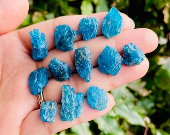 May include: A collection of blue apatite crystal roughs. The crystals are various shapes and sizes, and have a translucent, glassy appearance.