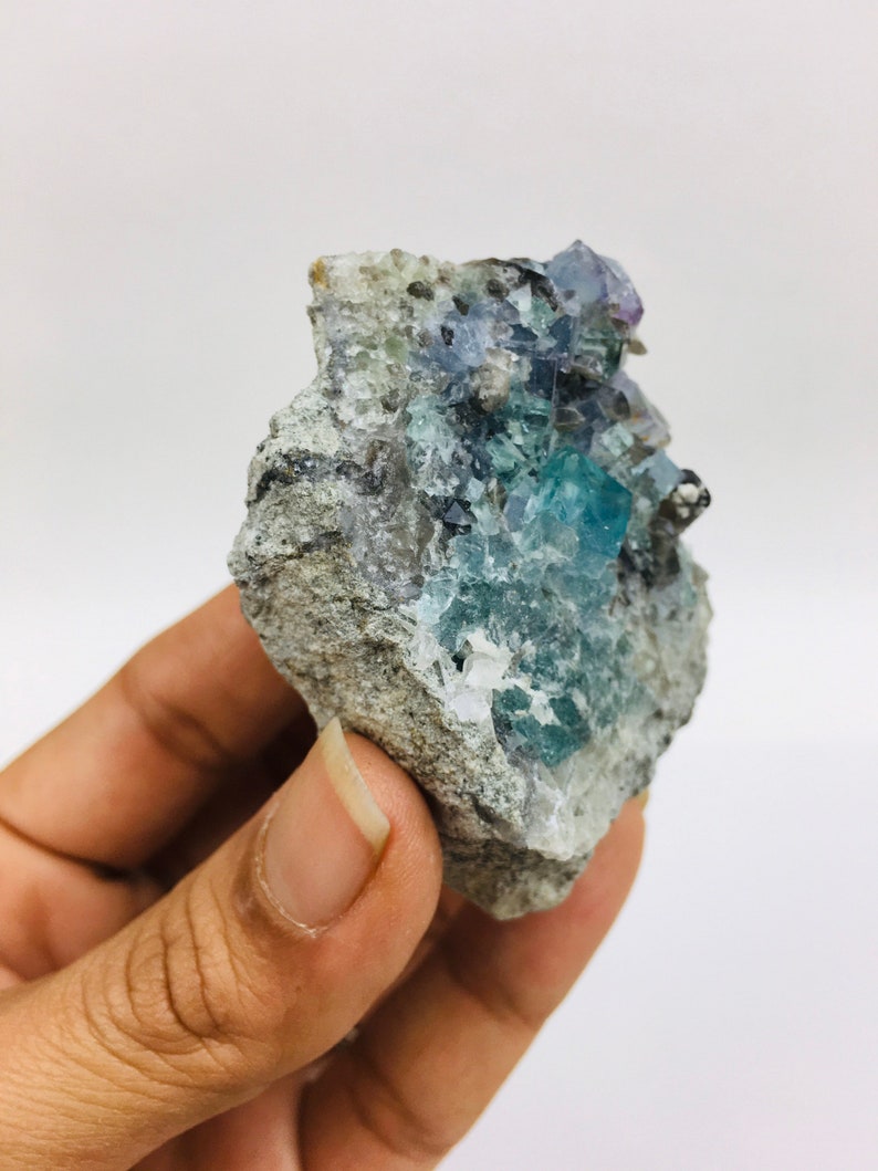 Op de afbeelding: Een cluster van blauwe en paarse fluorietkristallen ingebed in een grijze rotsmatrix.