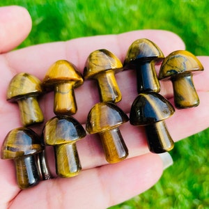 Tiger&#39;s Eye Crystal Mushroom: Polished Gemstone Carving (18-25mm)