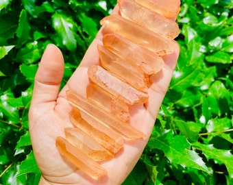 May include: A collection of 10 orange quartz crystal points, also known as citrine, arranged in a stack in a hand. The crystals are translucent and have a natural, raw finish.