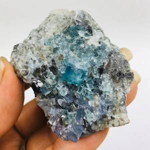 Op de afbeelding: Een cluster van blauwe en groene fluorietkristallen ingebed in een grijze matrix. De kristallen hebben een kubische vorm en zijn doorschijnend.