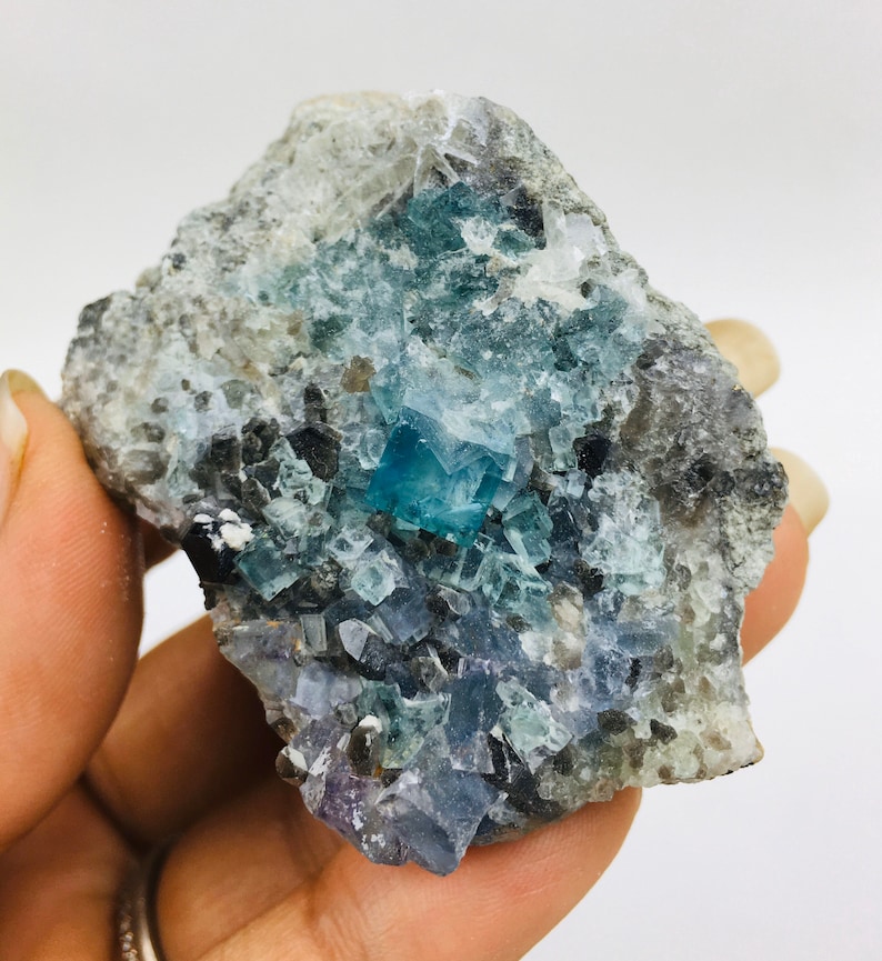 Op de afbeelding: Een cluster van blauwe en groene fluorietkristallen ingebed in een grijze matrix. De kristallen hebben een kubische vorm en zijn doorschijnend.