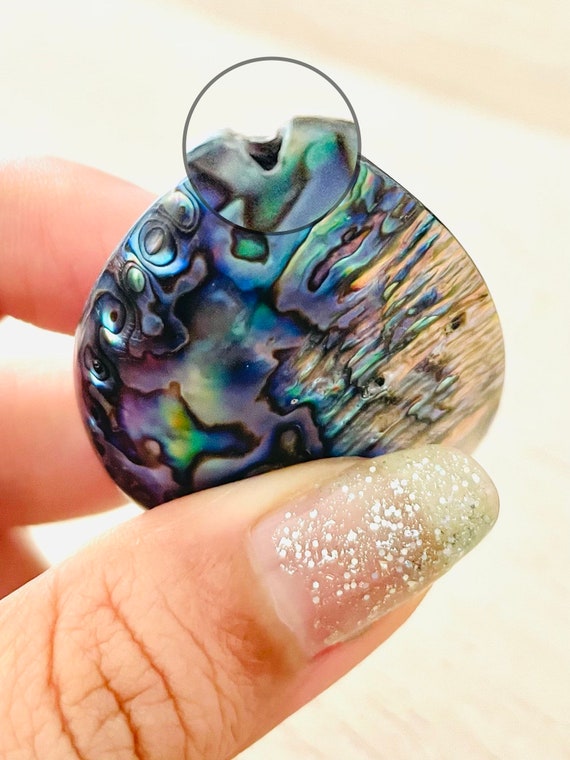 Rainbow Pearl Abalone - Opal Blue Pink Denmark Rainbow Round Abalone 1 Whole RARE Seashell Shell AA Purple Etsy Fire Ultra Rainbow Pearlescent Shell