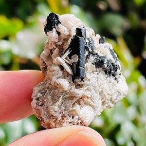Mini Rough Tourmaline CLUSTER (14G) Raw Tourmaline Crystal, Rough Black Cream Raw Crystal Cluster, Natural Gemstone Pakistan Specimen