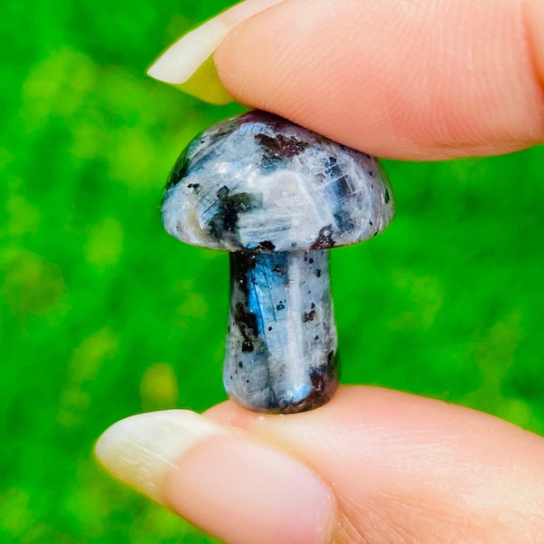 Larvikite Mushroom (1) Larvikite Crystal , Mini Mushroom XXS Gray White Blue Black Tumbled Polished Larvikite Crystal Stone Natural Gemstone