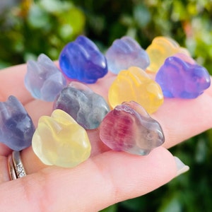 Fluorite Crystal (1) Fluorite Bunny Rabbit Carved Tumbled Stone Mini XXS Polished Bunny Rainbow Fluorite Crystal Natural Gemstone