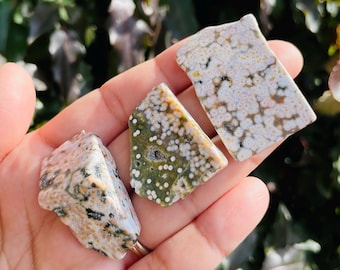May include: Three pieces of green and white ocean jasper, a type of chalcedony, with a speckled pattern. The stones are irregularly shaped and have a smooth, polished surface.