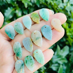 May include: A collection of 12 jade leaf pendants in various shades of green and white. The leaves are carved with intricate details and have a hole at the top for hanging.