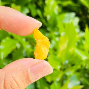 K&ouml;nnte beinhalten: Nahaufnahme eines kleinen, unregelm&auml;&szlig;ig geformten St&uuml;ckes Bernstein, einem fossilen Baumharz, das zwischen zwei Fingern gehalten wird. Der Bernstein ist von leuchtend gelber Farbe und wirkt durchscheinend.