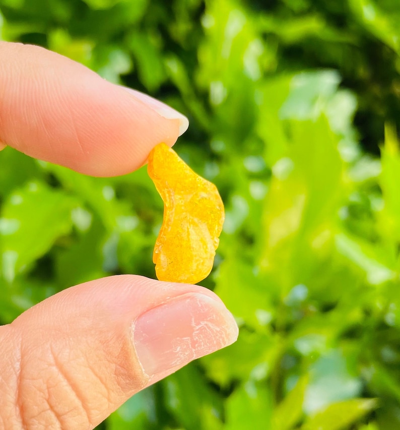 K&ouml;nnte beinhalten: Nahaufnahme eines kleinen, unregelm&auml;&szlig;ig geformten St&uuml;ckes Bernstein, einem fossilen Baumharz, das zwischen zwei Fingern gehalten wird. Der Bernstein ist von leuchtend gelber Farbe und wirkt durchscheinend.