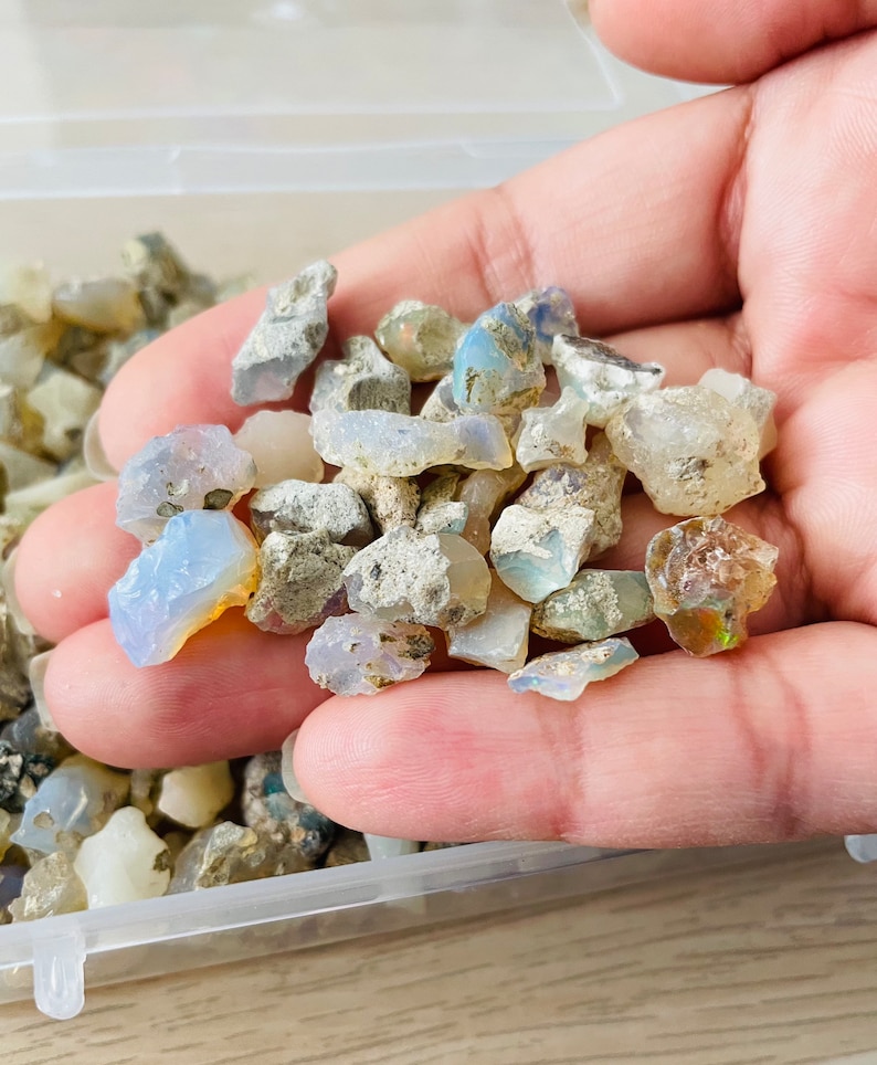 May include: A small collection of rough opal gemstones in various shades of white, blue, and grey. The opals are in a clear plastic container.