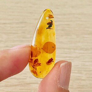 Druppelkristal gepolijst amber: cognacbruine edelsteen (20-30 mm) DRILLED Large