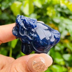 以下が含まれることがあります： 暗い青色の、ライオンの頭の形をした彫刻された宝石。 宝石は手で持たれており、背景にはぼやけた緑色の葉があります。 ライオンの頭には詳細な特徴があり、研磨された表面があります。