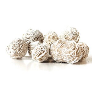 May include: A group of seven white and brown desert rose crystals. The crystals are clustered together on a white background.