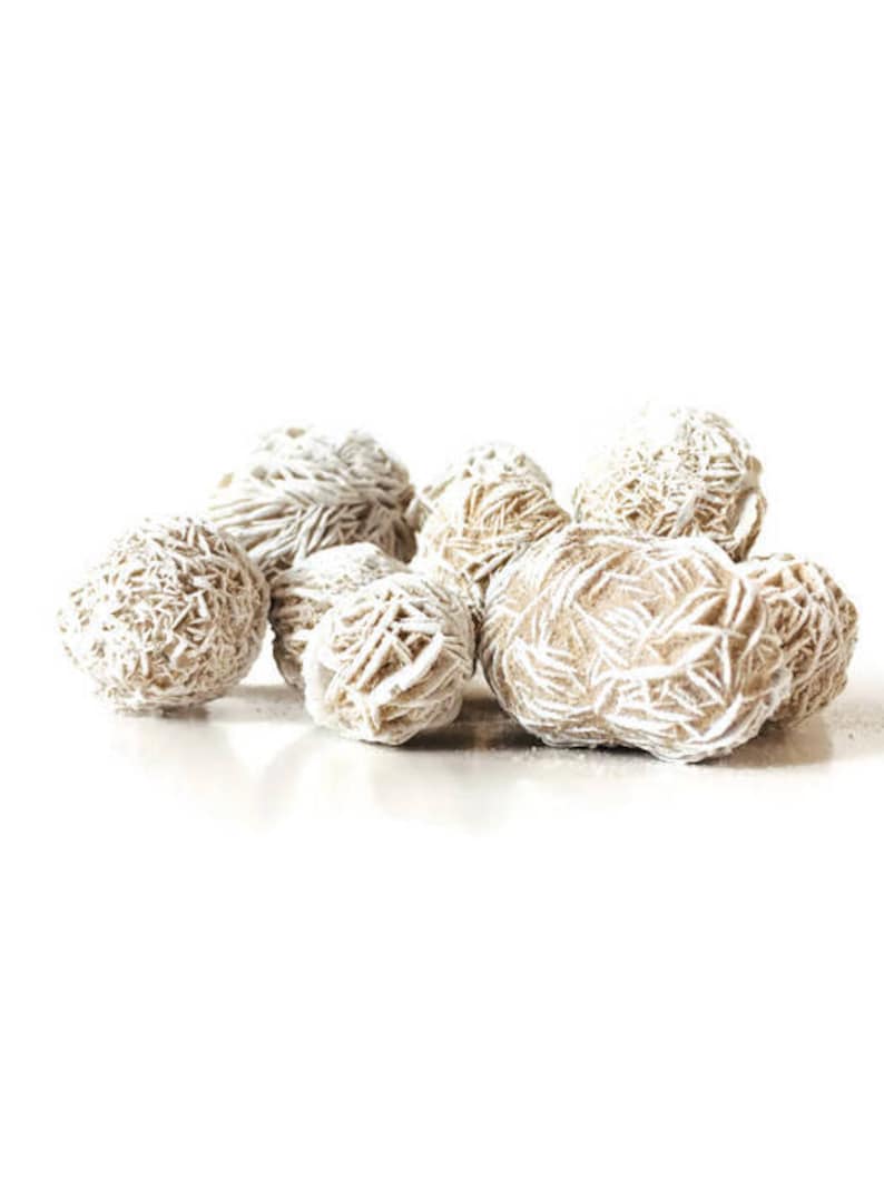 May include: A group of seven white and brown desert rose crystals. The crystals are clustered together on a white background.
