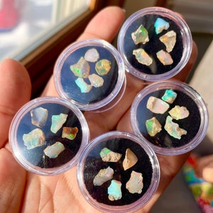 Könnte beinhalten: Sechs kleine durchsichtige Plastikbehälter mit schwarzen Deckeln, die jeweils eine Sammlung von schillernden Opal-Edelsteinen enthalten. Die Edelsteine sind in verschiedenen Formen und Größen vorhanden und zeigen ein Regenbogenfarbenspiel.