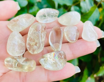 Natural Citrine Crystal: Tumbled Polished Stones (Set of 5)