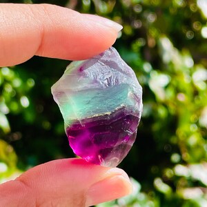 Pu&ograve; includere: Un cristallo di fluorite multicolore con sfumature di verde, viola e bianco. Il cristallo &egrave; grezzo e ha una forma naturale irregolare.