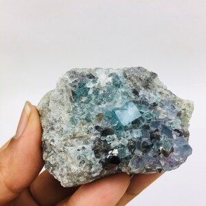 Op de afbeelding: Een cluster van blauwgroene fluorietkristallen ingebed in een grijze matrix. De kristallen zijn scherp en goed gedefinieerd, met een glazige glans. De matrix is ruw en getextureerd.