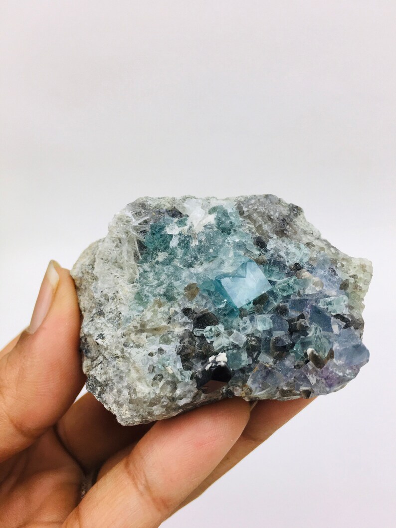 Op de afbeelding: Een cluster van blauwgroene fluorietkristallen ingebed in een grijze matrix. De kristallen zijn scherp en goed gedefinieerd, met een glazige glans. De matrix is ruw en getextureerd.
