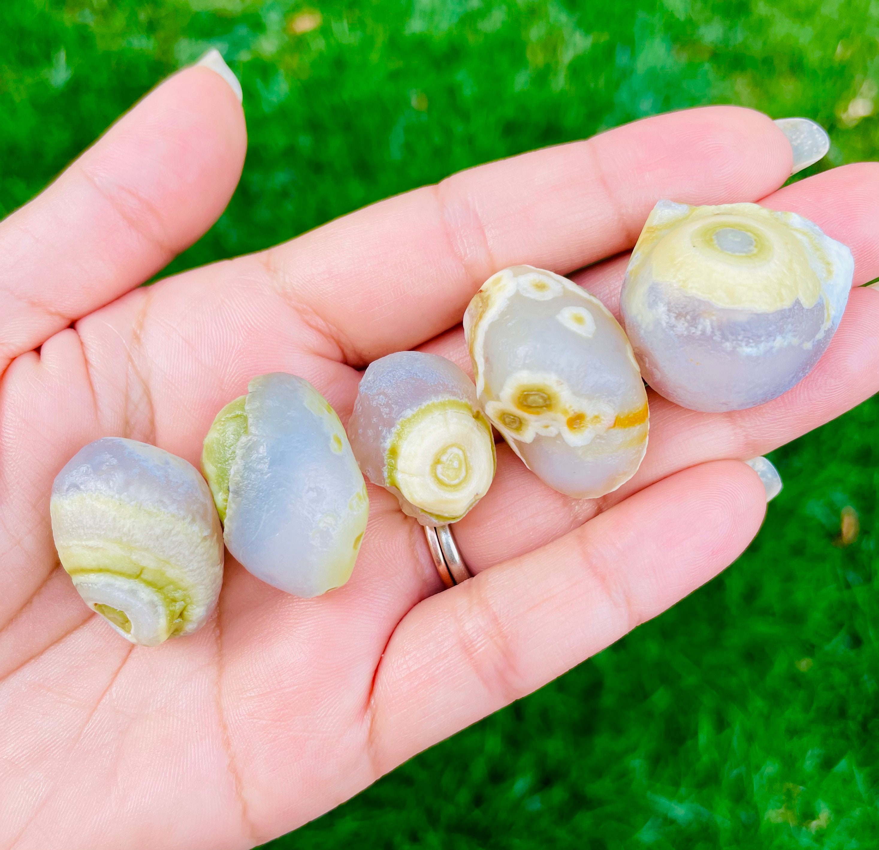 Gobi agate eye discount