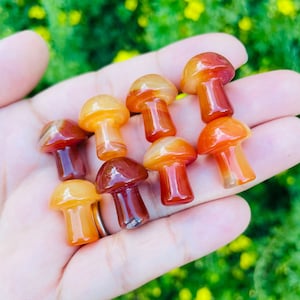 Carnelian Mushroom (1) Carnelian Mini Mushroom XXS Orange Red Yellow Tumbled Polished Crystal Stone Natural Gemstone