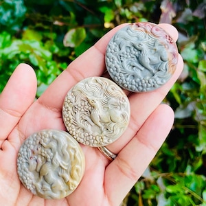Alashan Agate Fox Disc (1) Alashan Agate Fox Carved Stone, Rare Chinese Agate, Polished Animal Crystal Natural Gemstone
