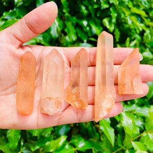 XL Tangerine Quartz Point: Raw Hematoid Quartz Crystal (55-85 mm)