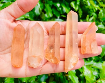 May include: Five orange crystal points, also known as citrine, are displayed on a hand. The crystals are various sizes and shapes.
