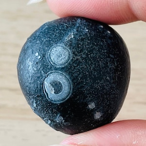 Black Gobi Eye Agate: Raw Mongolian Desert Gemstone (30.8G)