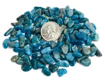 Cristal d'apatite (100 g) Pierre d'apatite bleu foncé (PETIT) Cristaux de cristal en vrac Mini-pierres Lot de bits en gros