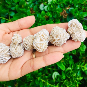 Raw Desert Rose Selenite Crystal (1) Natural Selenite White Rosette Stone 25-45mm Small Rough Crystal Gemstone image 4
