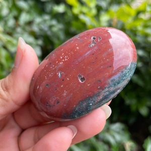 OCEAN JASPER Crystal (#OJP012) Jasper Palm Stone Crystal Tumbled Sea Jasper BLUE Green Mini Natural Jasper Crystal Gemstone 78grams