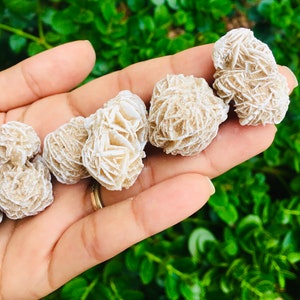 Desert Rose Selenite Crystal (1) One Raw Selenite Flower Rosette Rough White Cream, Raw Crystal, Desert Rose Stone