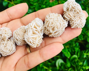 Raw Desert Rose Selenite Crystal: White Rosette Stone (15-45mm)