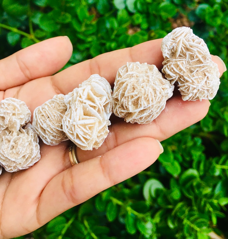 May include: A collection of five rose quartz crystals, also known as desert roses, in various sizes and shapes. The crystals are a light beige colour with a rough, textured surface.
