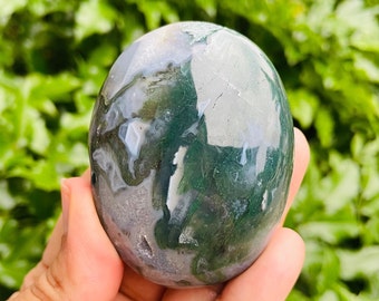 Pierre de palmier agate mousse polie (130,6 g) : cristal de pierre précieuse naturelle