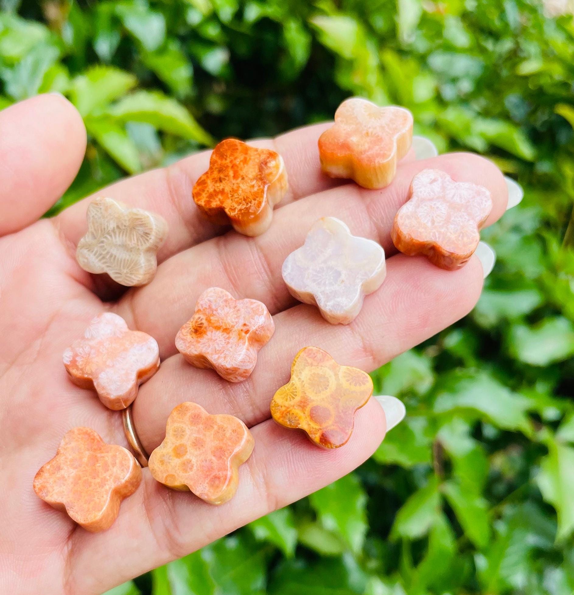 Coral Jade Crystal Clover (1) XXS Coral Jade Crystal Pendant, Coral Bead Drilled Jewelry Stone, Clover Coral Stone Mini Natural Gemstone