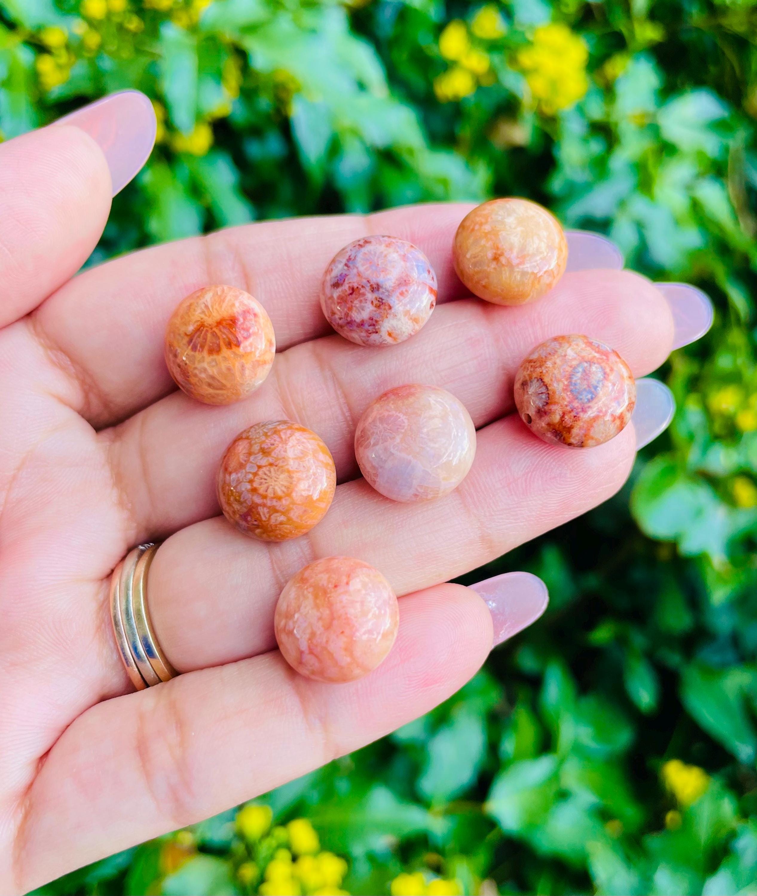 Coral Jade Crystal: Round Candy Color Fossilized Coral Tumbled