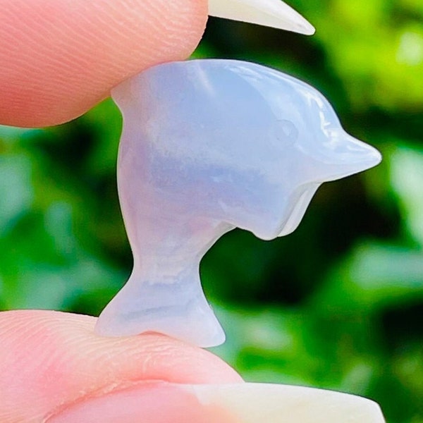 Blue Lace Agate Crystal Dolphin (1) Mini Dolphin Lace Agate Stone, Animal Carving Light Blue Tumbled Crystal Gemstone (DRILLED)