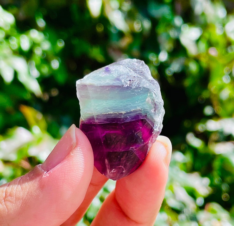 Pu&ograve; includere: Primo piano di un cristallo di fluorite viola, verde e bianco. Il cristallo &egrave; liscio e ha un aspetto stratificato. Viene tenuto in una mano.